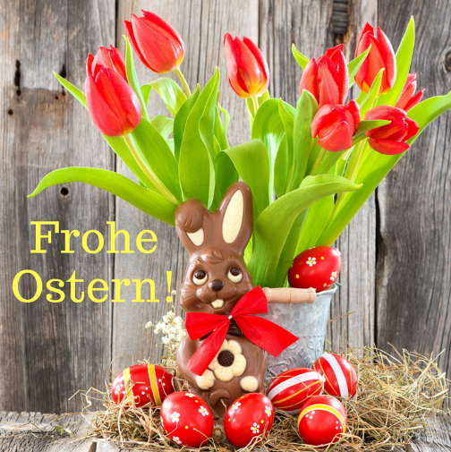 Frohe-Ostern-Bilder-Schokohase-Eier-rote-Tulpen.png