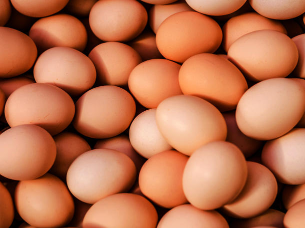 eier-rueckruf-netto-salmonellen.jpg